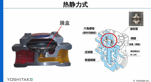 蒸汽疏水阀（热动力式、热静力式）