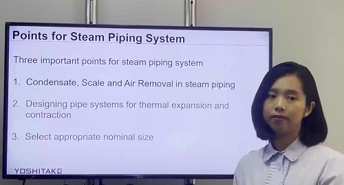 Points for Steam Piping System (1)