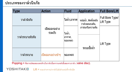 Safety Valve-Overview